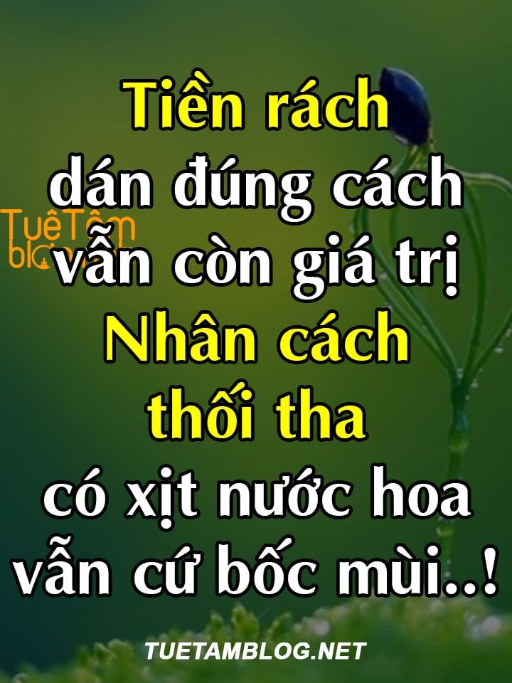 Nhân cách rẻ rách là gì? Dấu hiệu nhận biết và cách khắc phục
