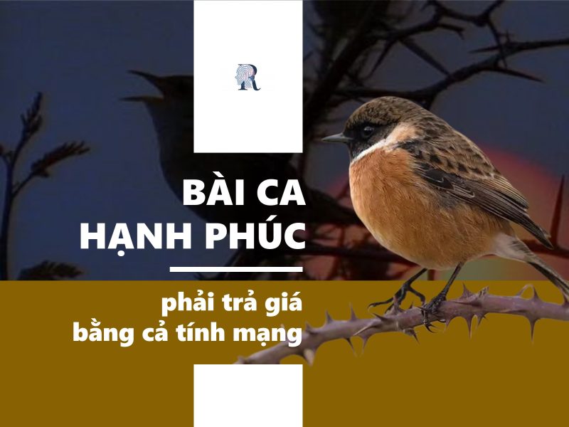 Tiếng Chim Hót Trong Bụi Gallery 2