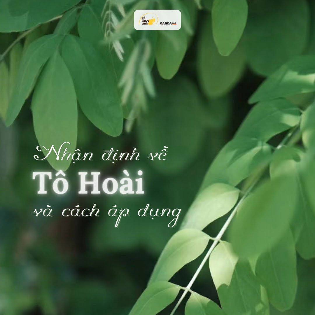 Nhận định về Tô Hoài - Nhà văn của những bức tranh quê hương Gallery 2