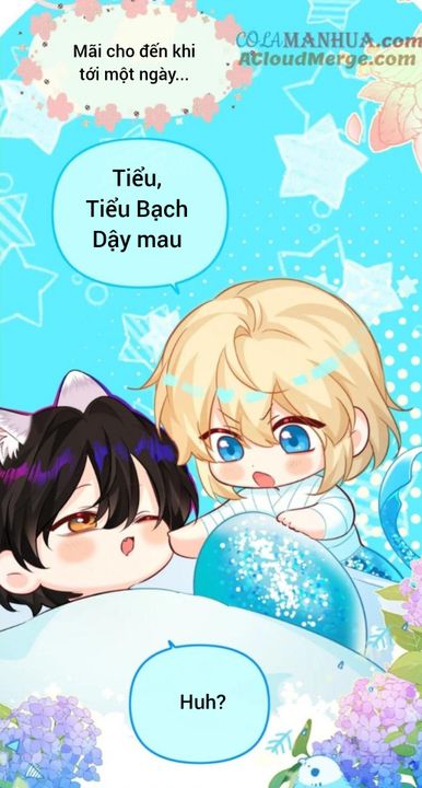 Nhân Ngư Hãm Lạc Truyện Chữ: Review, Đánh Giá và Nguồn Truyện Hay