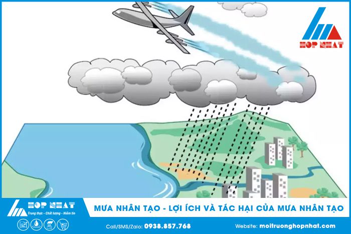 Nhân Tạo Là Gì? Gallery 2