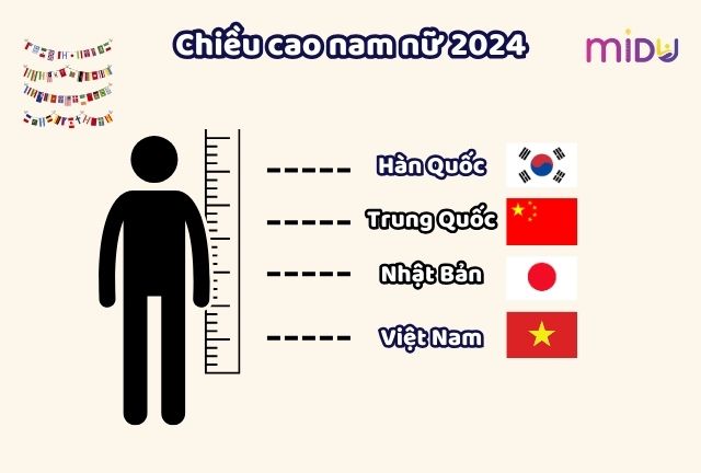 Chiều Cao Bao Nhiêu Là Lùn? Gallery 2