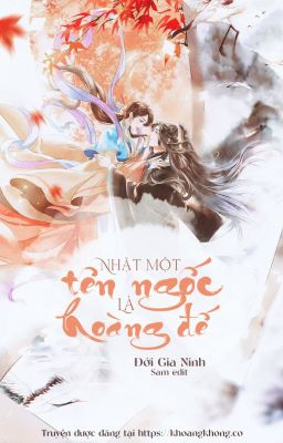 Nhặt Một Tên Ngốc Là Hoàng Đế