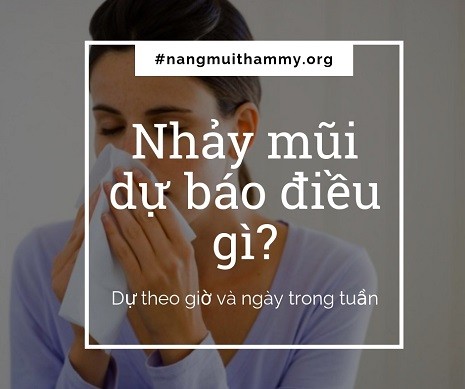 Nhảy Mũi Theo Khung Giờ: Nguyên Nhân Và Cách Khắc Phục