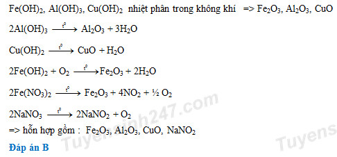 Nhiệt Phân Fe(OH)3