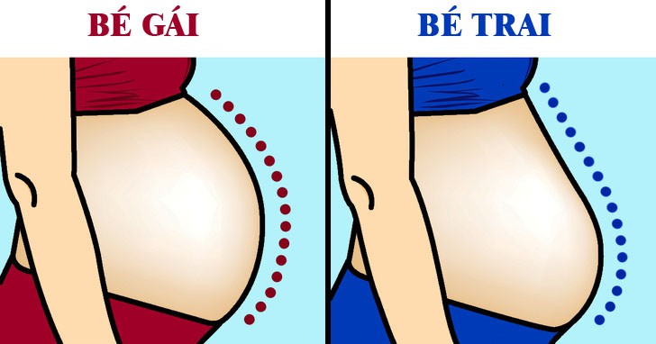 Nhìn Đường Chỉ Bụng Đoán Trai Hay Gái: Có Thực Sự Chính Xác?
