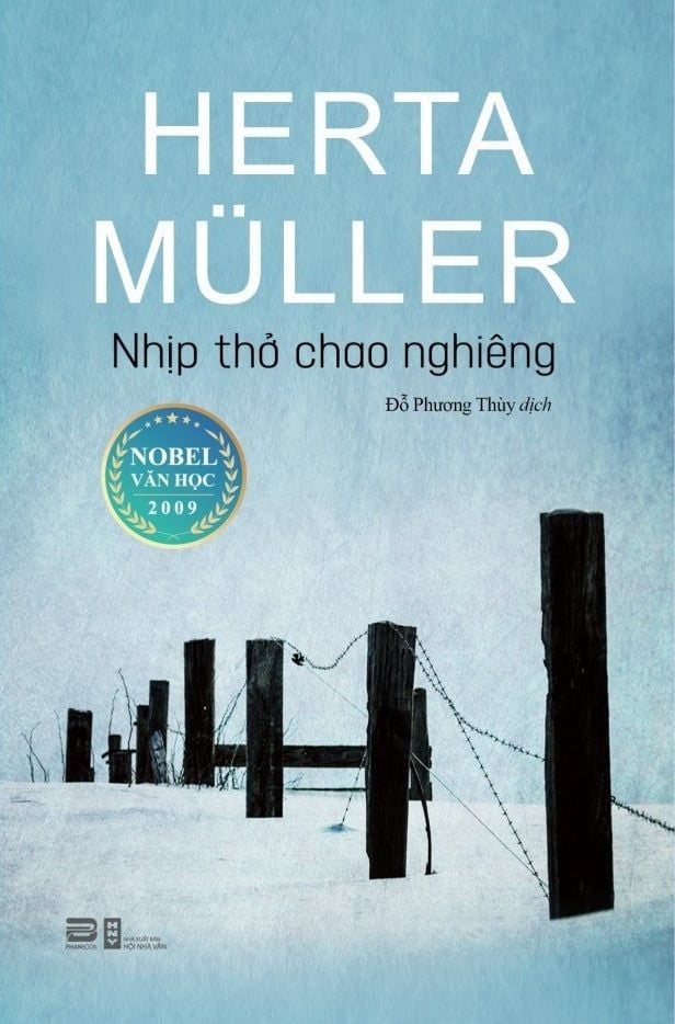 Nhịp thở Chao Nghiêng là gì? Nguyên nhân, triệu chứng và cách khắc phục