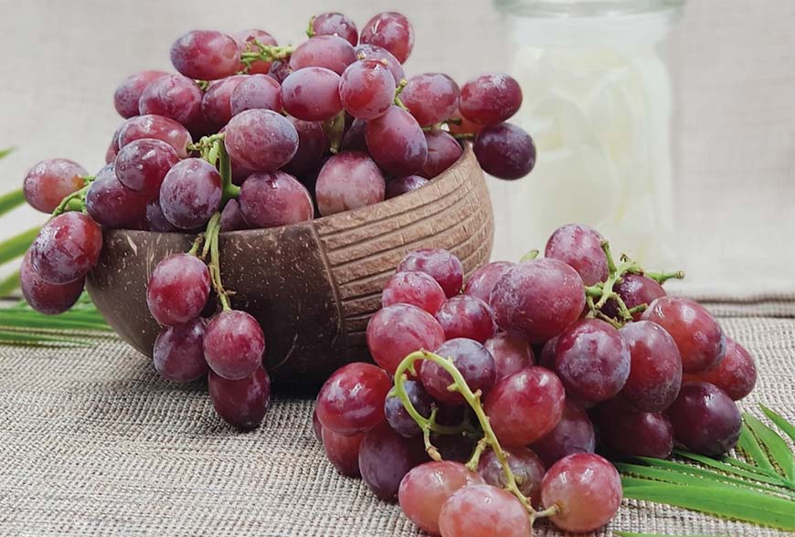 Nho Kẹo Là Nho Gì?