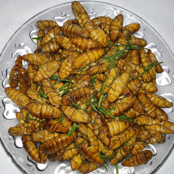 Nhộng làm gì ngon?