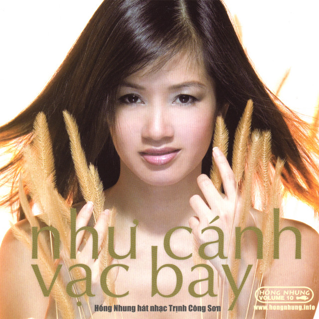 Nhu Cầu Vé Máy Bay: Thị Trường, Xu Hướng Và Chiến Lược Kinh Doanh