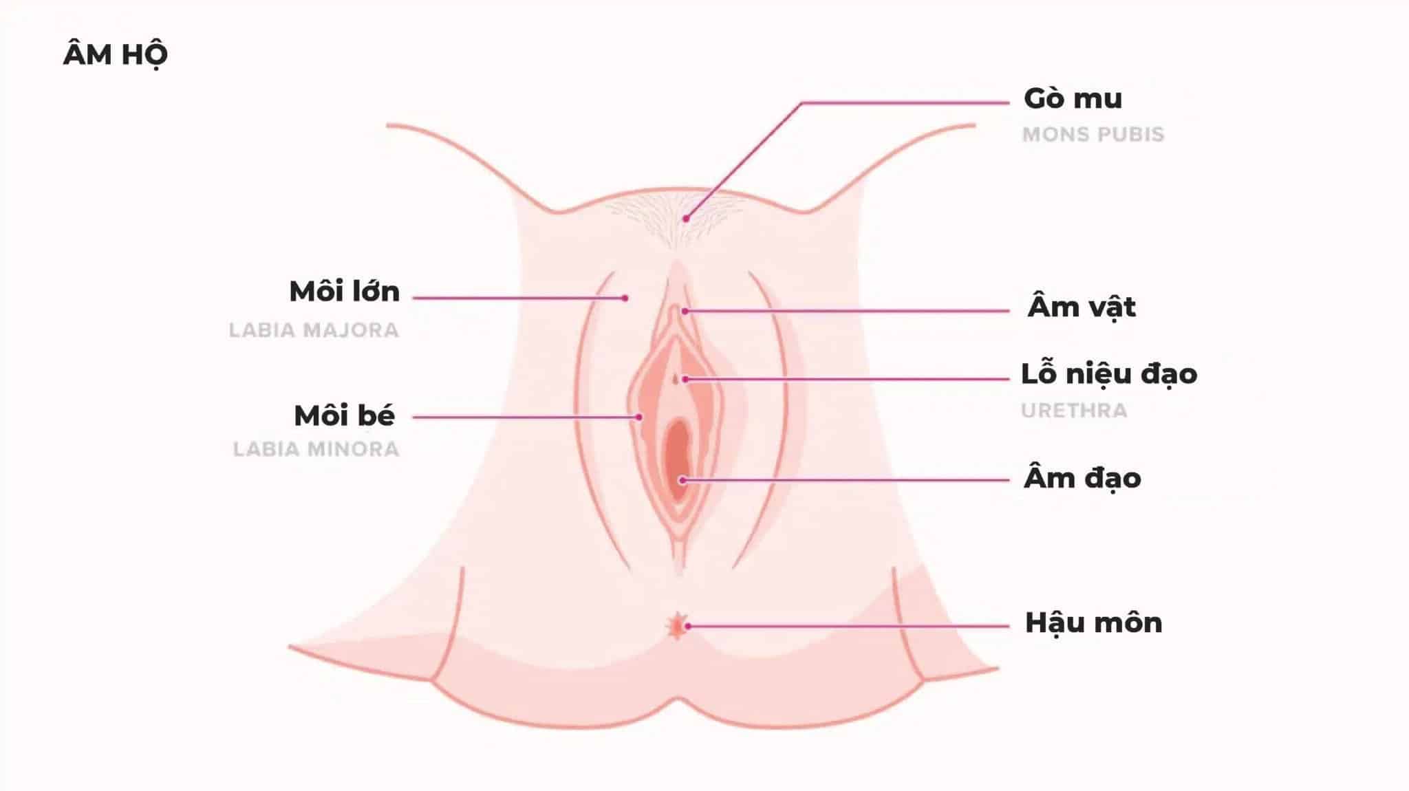 Nhũ tương là gì?