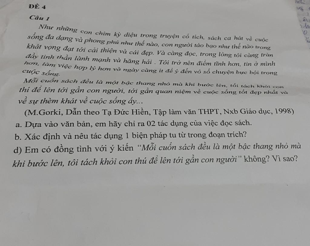 Những Con Chim Kỳ Diệu Trong Truyện Cổ Tích
