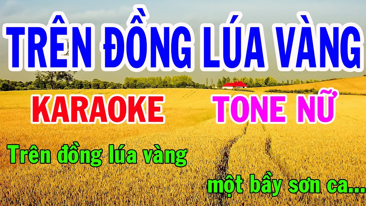 Nhạc Trên Đồng Lúa Vàng Gallery 1