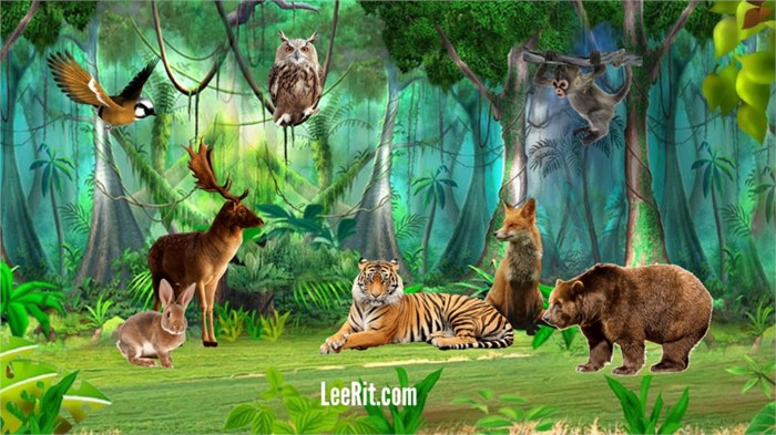 Truyện về các con vật sống trong rừng Gallery 2