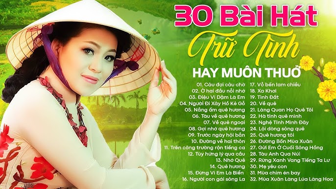Những Bài Nhạc Trữ Tình Hay Nhất