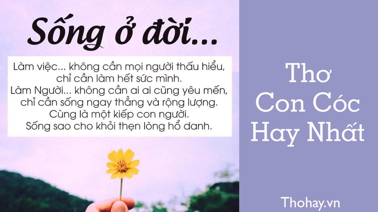 Thơ Hay Về CLB Ca Hát Gallery 2