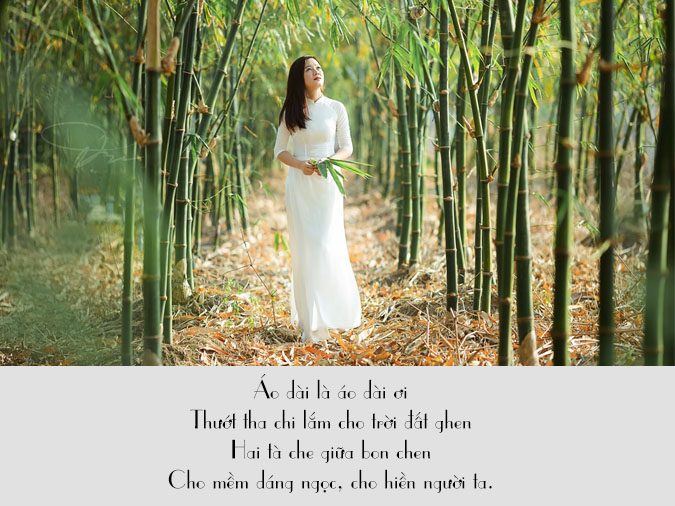 Thơ về Áo Dài: Vẻ Đẹp Tinh Hoa Việt Nam Gallery 1