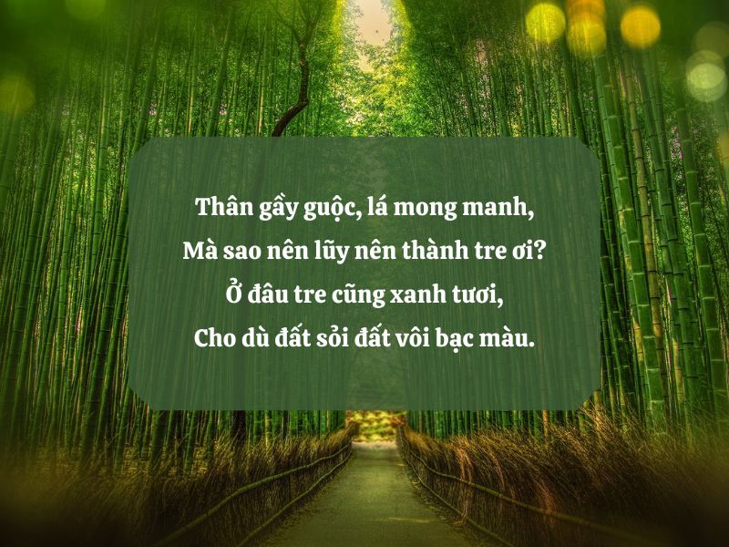 Bài Thơ Cây Tre Gallery 1