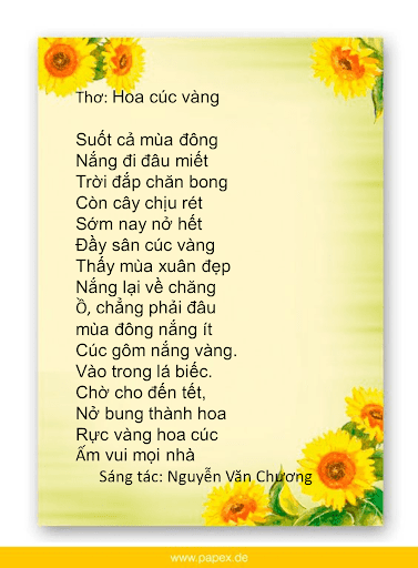 Hoa Cúc Vàng Bài Thơ Gallery 2