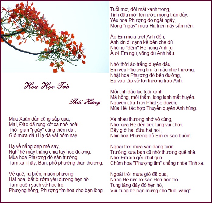 Thơ về hoa phượng tuổi học trò Gallery 1