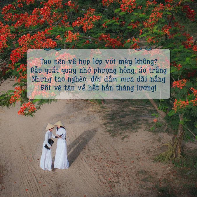 Những Bài Thơ Hay Về Họp Lớp