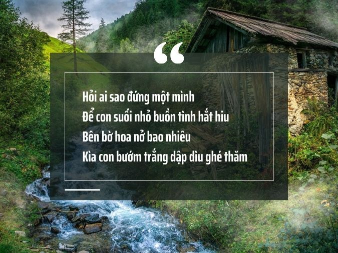 Thơ về Suối Rừng - Vẻ Đẹp Hoang Sơ Của Thiên Nhiên Gallery 1