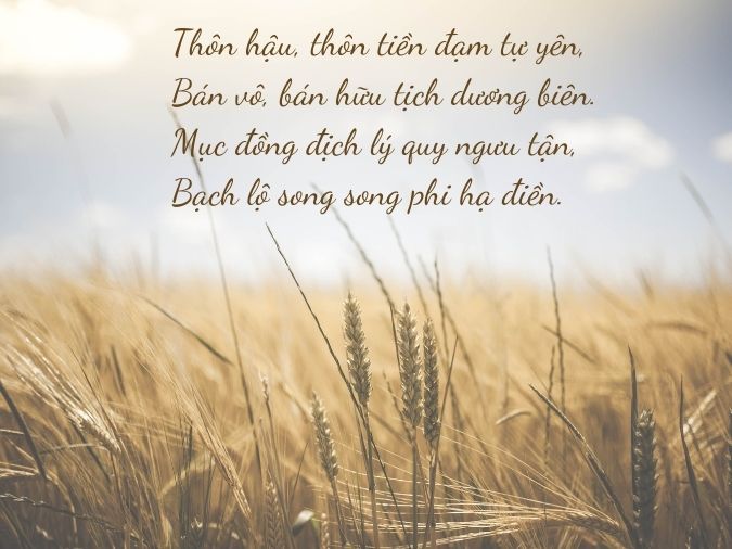 Thơ về lòng yêu nước: Những vần thơ ca ngợi quê hương đất nước Gallery 2