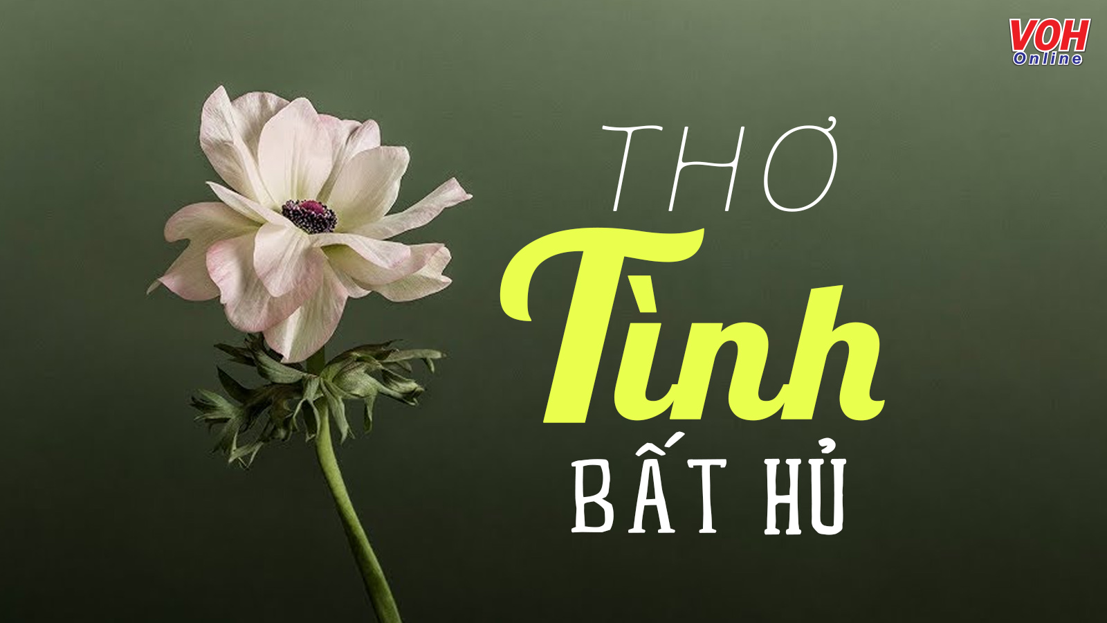 Những Bài Thơ Tình Bất Hủ Hay Nhất Mọi Thời Đại