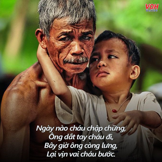 Thơ về Ông Bà: Tình Yêu Vô Bờ Bến Và Sự Khôn Ngoan Bao La Gallery 2