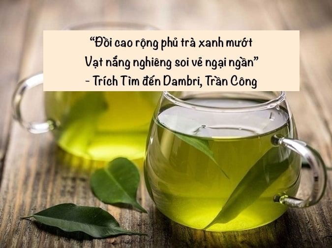 Thơ Trà Ngôn Phải Có Bạn Hiền Gallery 2