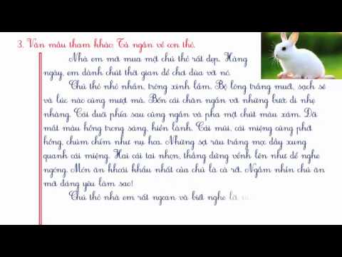 Bài Văn Tả Con Thỏ Lớp 4