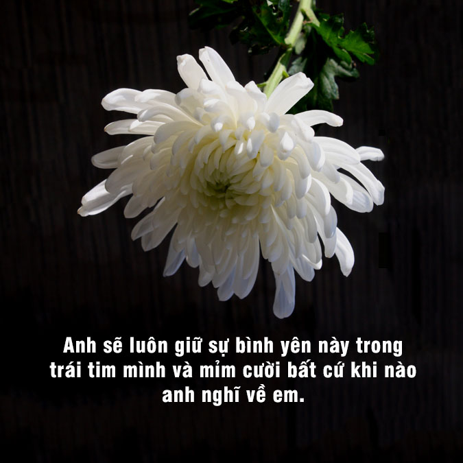 STT về bà ngoại mất: Lời tiễn biệt đầy xúc động Gallery 2