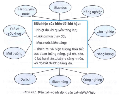 Biểu Hiện Của Biến Đổi Khí Hậu Là Gì? Gallery 1