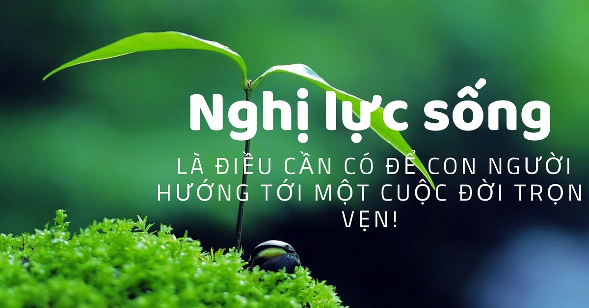 Biểu Hiện Của Nghị Lực Sống Gallery 1