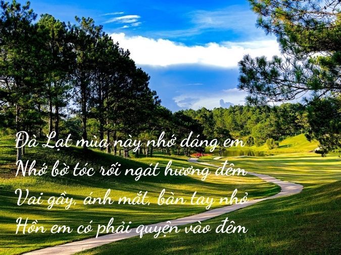 Đà Lạt Mộng Mơ Gallery 2