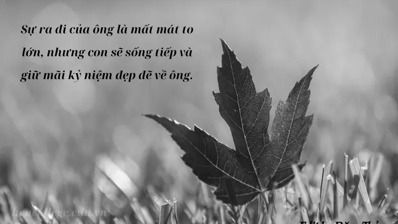 Chia sẻ nỗi đau mất mát khi ông ngoại qua đời Gallery 1