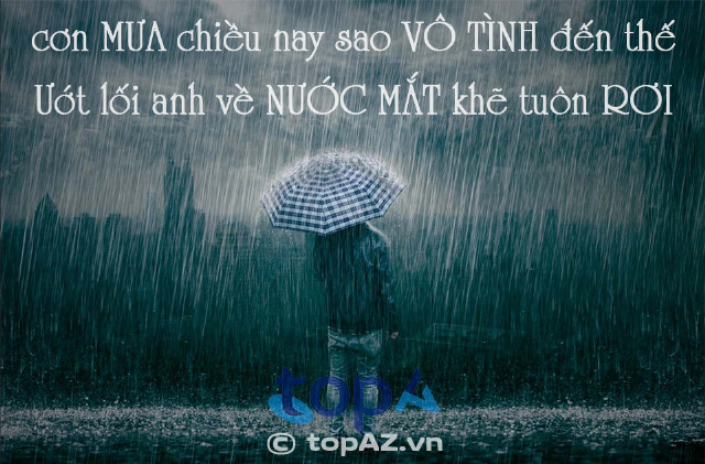 Tus Trời Mưa: Những Cảm Xúc Và Hình Ảnh Đẹp Gallery 1