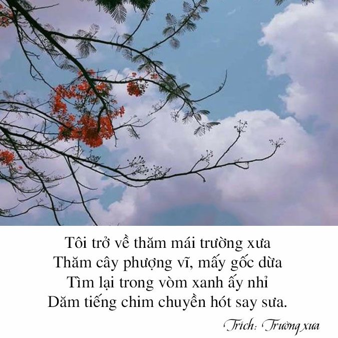 Cảm xúc khi về thăm lại trường cũ - Một chuyến hành trình đầy hoài niệm Gallery 1