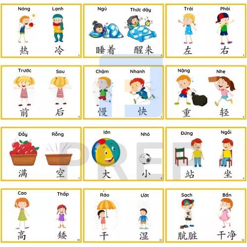 Những Cặp Từ Trái Nghĩa Trong Tiếng Việt