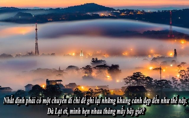 STT Đà Lạt Hay - Gợi Cảm Xúc Ngàn Hoa Gallery 2