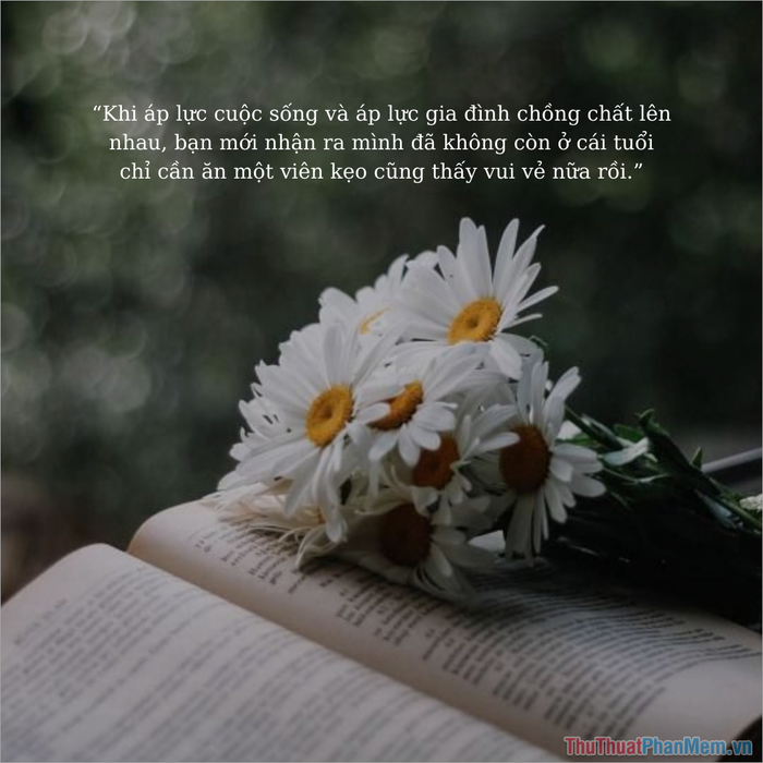 Cap Mệt Mỏi Về Gia Đình Gallery 1