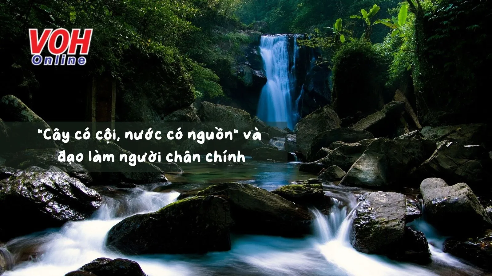 Ca dao tục ngữ nói về cội nguồn: Tìm hiểu nguồn gốc và ý nghĩa Gallery 2