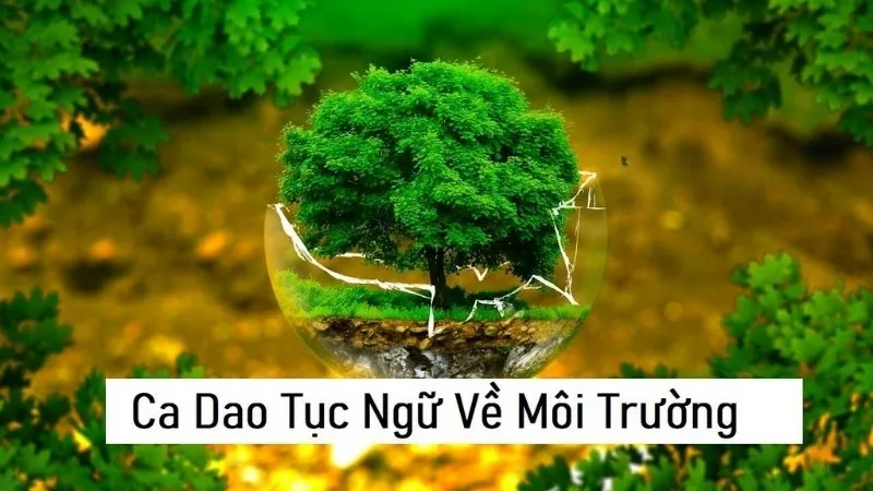 Ca dao tục ngữ về môi trường: Bảo vệ thiên nhiên, giữ gìn cuộc sống xanh Gallery 1