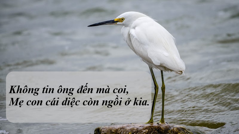 Ca dao tục ngữ nói về sự lãng phí Gallery 1