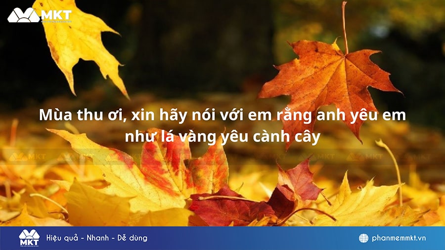 STT Mùa Thu Hài Hước: Những Câu Nói Chế Hay Nhất Về Mùa Thu Gallery 2