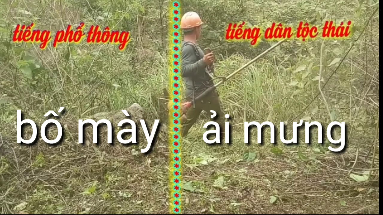 Câu Chửi Tiếng Dân Tộc Thái - Từ Điển Chửi Bới