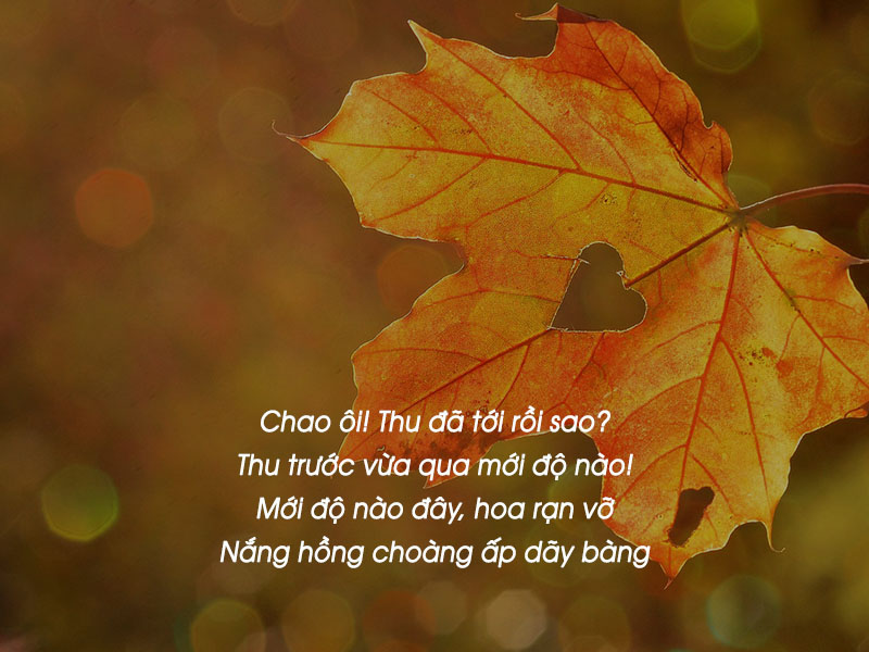 Những Bài Viết Về Mùa Thu Hay Nhất Gallery 1