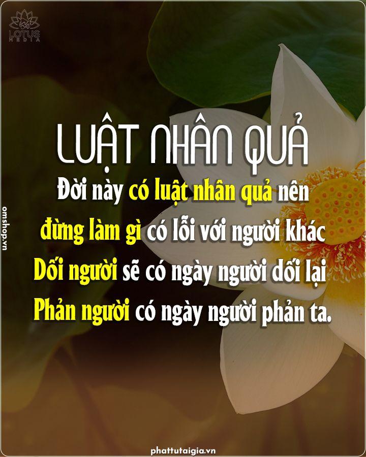 Những Câu Chuyện Về Luật Nhân Quả: Trả Giá Cho Hành Động