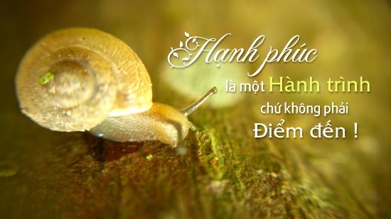 15 Câu Danh Ngôn Về Hạnh Phúc Gallery 1