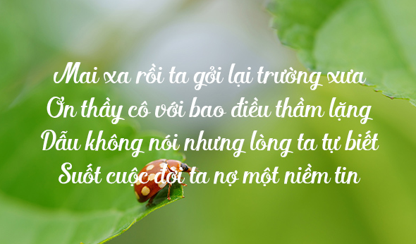 Những câu danh ngôn hay về thầy cô giáo